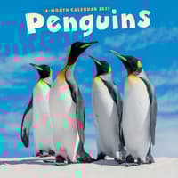 image Penguins 2027 Wall Calendar Main Product Image
