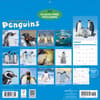 image Penguins 2027 Wall Calendar First Alternate Image