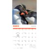 image Penguins 2027 Wall Calendar Second Alternate Image