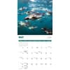 image Penguins 2027 Wall Calendar Third Alternate Image