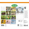 image WWF Owls 2027 Wall Calendar First Alternate Image