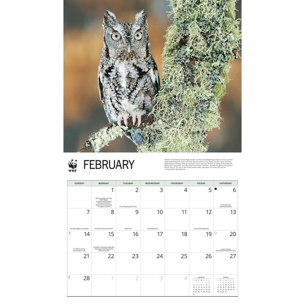 WWF Owls 2027 Wall Calendar Second Alternate Image