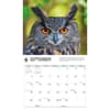 image WWF Owls 2027 Wall Calendar Third Alternate Image