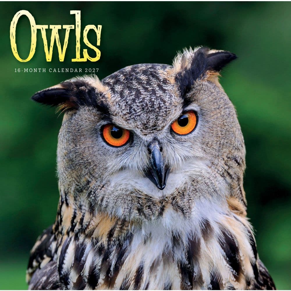 Owls 2027 Wall Calendar Main Product Image