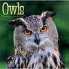 image Owls 2027 Wall Calendar Main Product Image