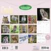 image Owls 2027 Wall Calendar First Alternate Image