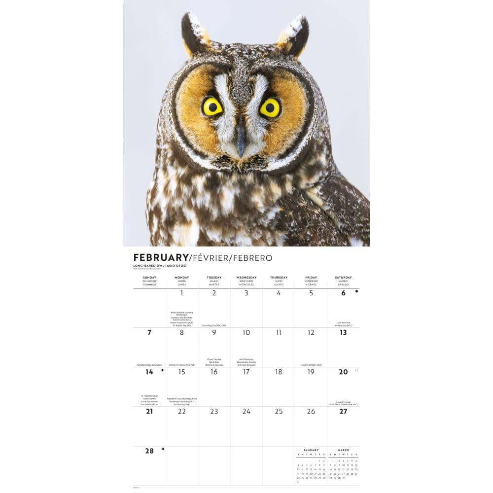 Owls 2027 Wall Calendar Second Alternate Image