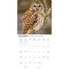 image Owls 2027 Wall Calendar Fourth Alternate Image