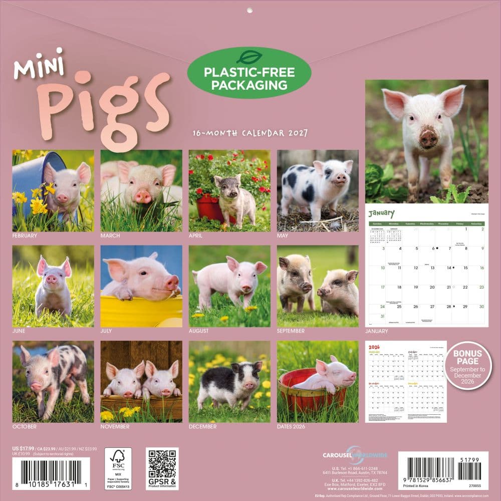 Mini Pigs 2027 Wall Calendar First Alternate Image