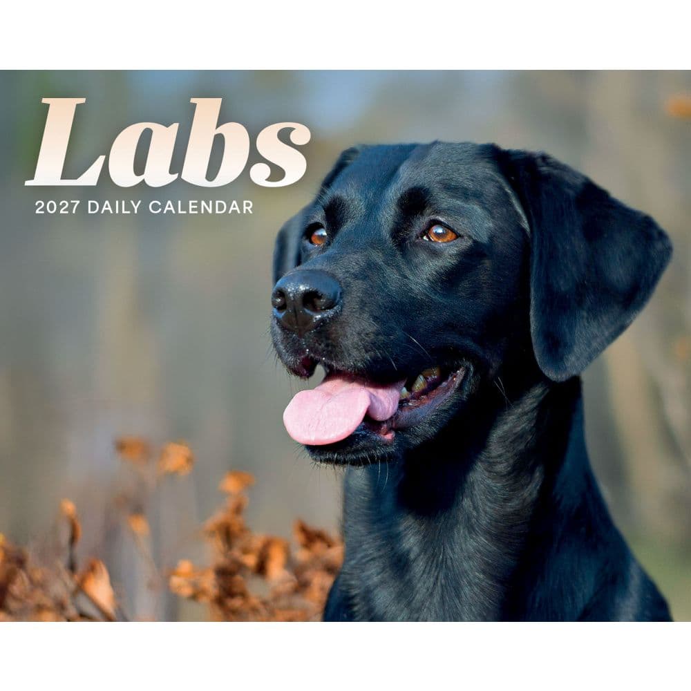Labs 2027 Desk Calendar Main Product Image