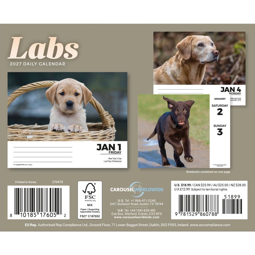 Labs 2027 Desk Calendar First Alternate Image
