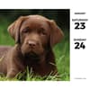 image Labs 2027 Desk Calendar Second Alternate Image