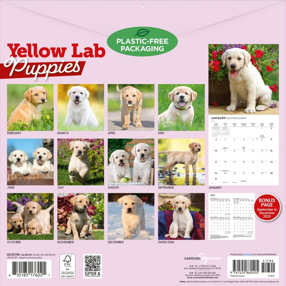 Yellow Lab Puppies 2027 Wall Calendar First Alternate Image