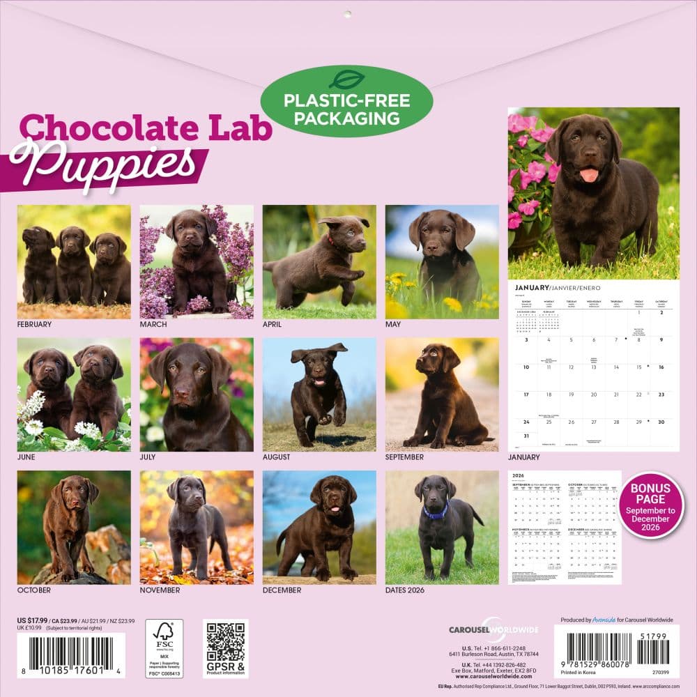 Chocolate Lab Retriever Puppies 2027 Wall Calendar First Alternate Image