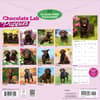 image Chocolate Lab Retriever Puppies 2027 Wall Calendar First Alternate Image