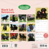 image Black Labrador Retrievers 2027 Wall Calendar First Alternate Image