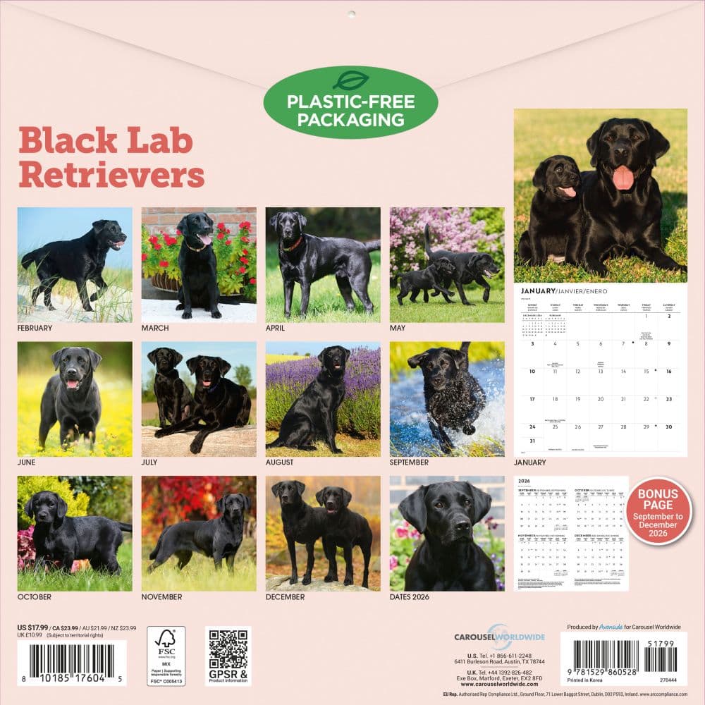 Black Labrador Retrievers 2027 Wall Calendar First Alternate Image