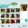image Black Lab Retriever Puppies 2027 Wall Calendar First Alternate Image