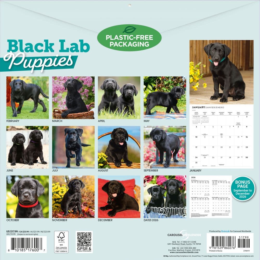 Black Lab Retriever Puppies 2027 Wall Calendar First Alternate Image