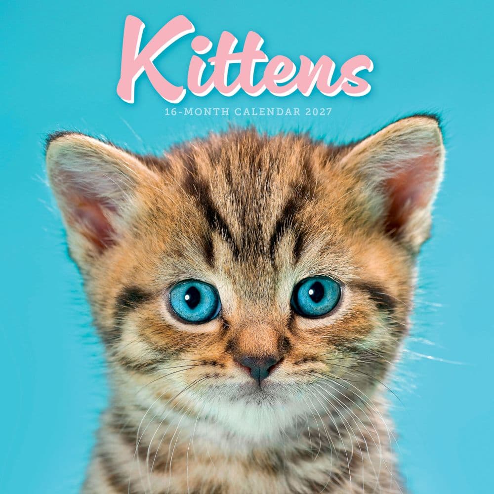 Kittens 2027 Mini Wall Calendar Main Product Image