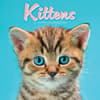 image Kittens 2027 Mini Wall Calendar Main Product Image