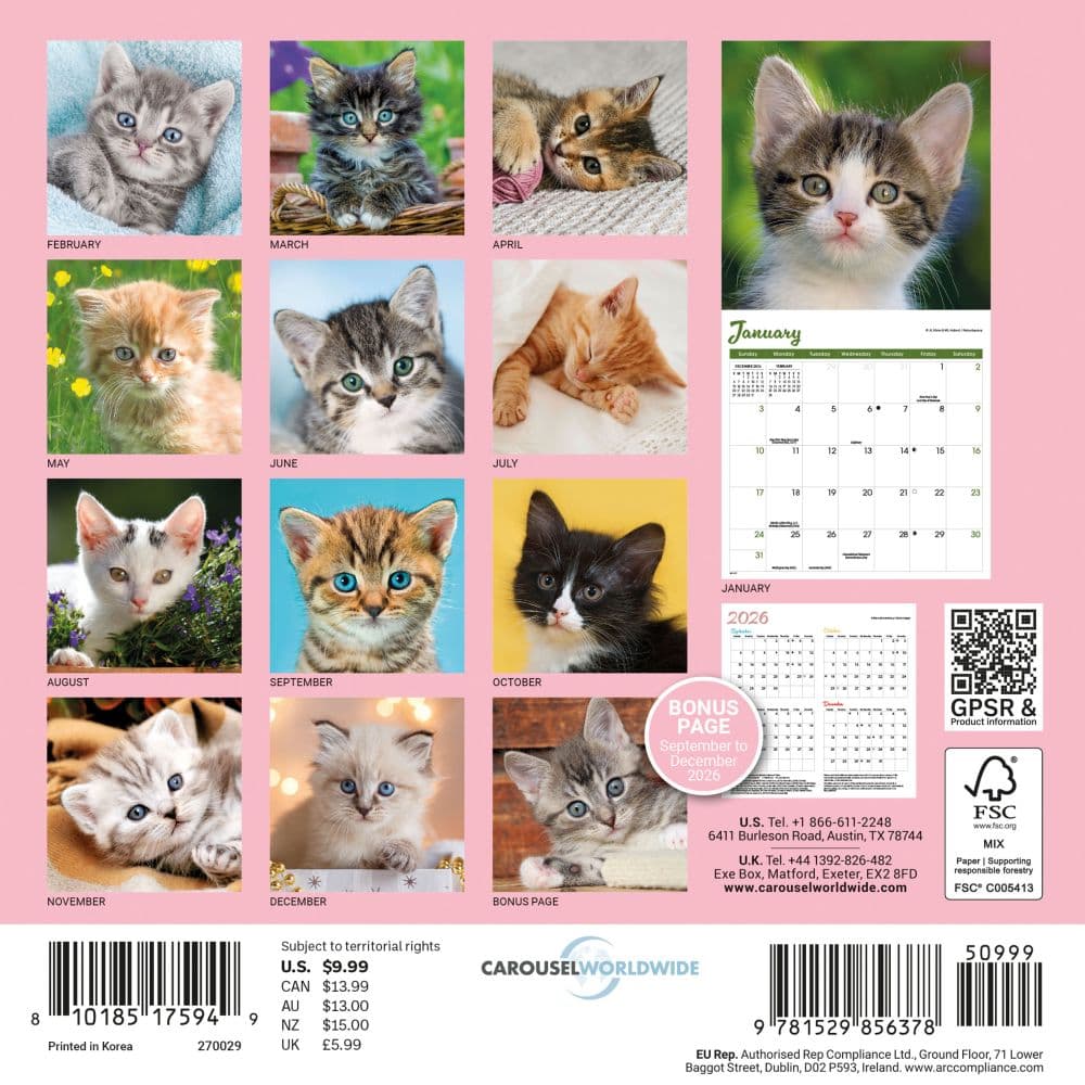 Kittens 2027 Mini Wall Calendar First Alternate Image