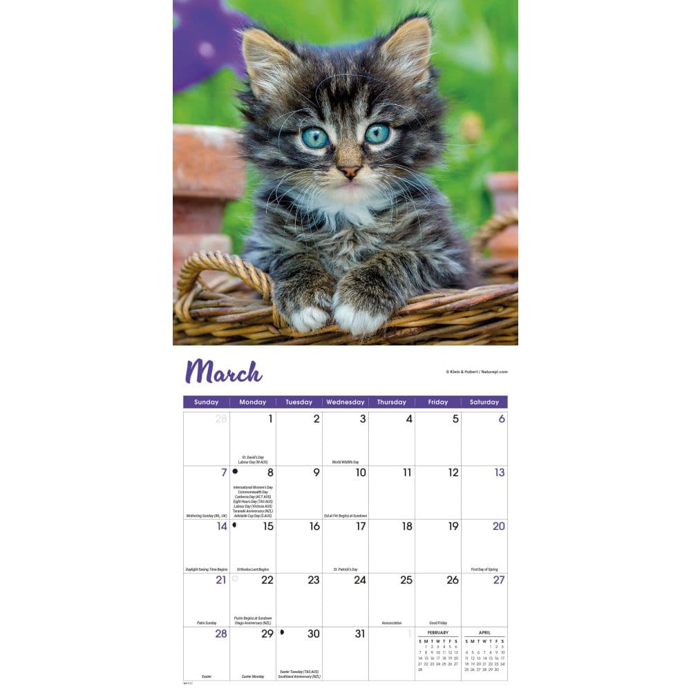 Kittens 2027 Mini Wall Calendar Second Alternate Image