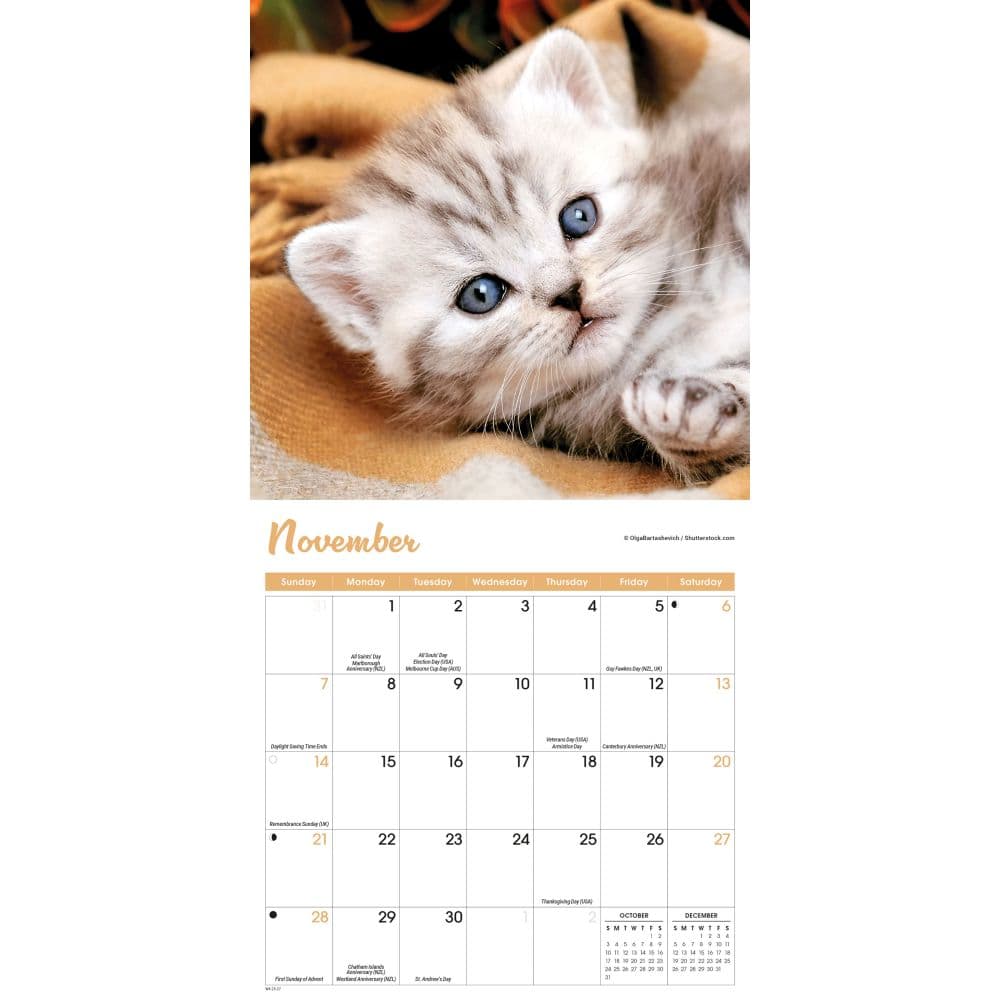 Kittens 2027 Mini Wall Calendar Fourth Alternate Image