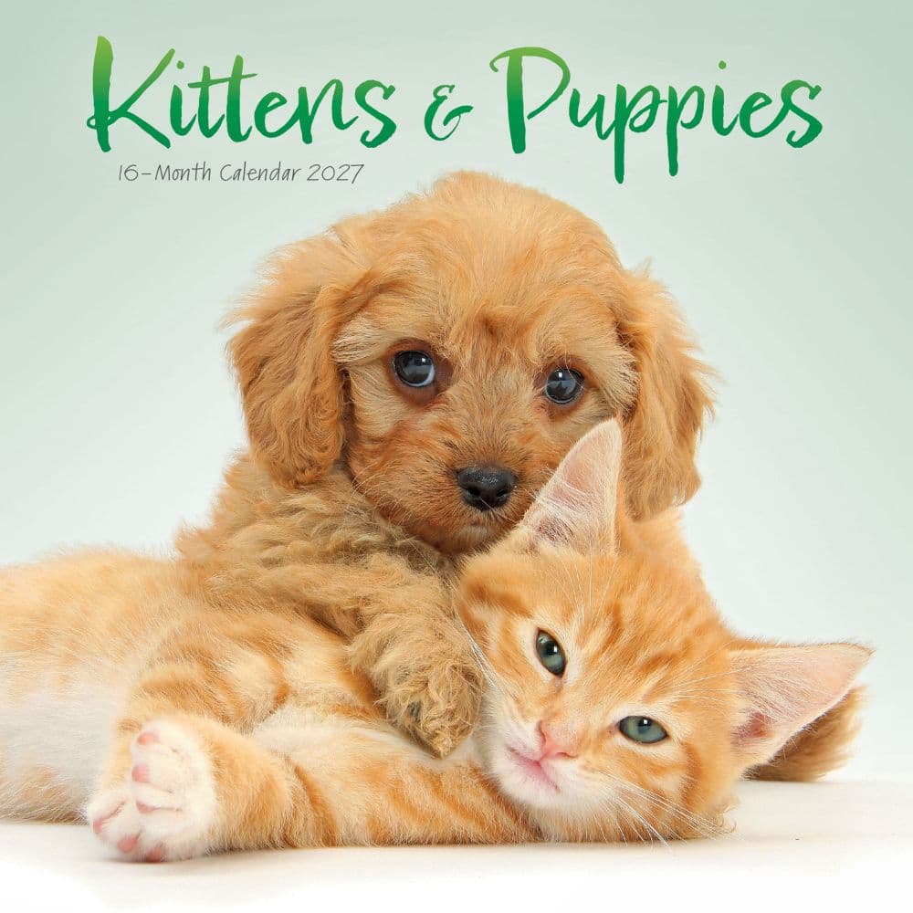 Kittens and Puppies 2027 Mini Wall Calendar Main Product Image