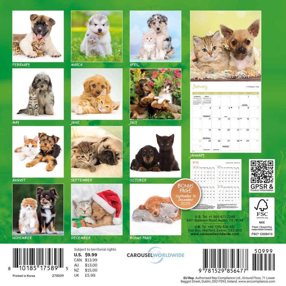 Kittens and Puppies 2027 Mini Wall Calendar First Alternate Image