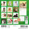 image Kittens and Puppies 2027 Mini Wall Calendar First Alternate Image
