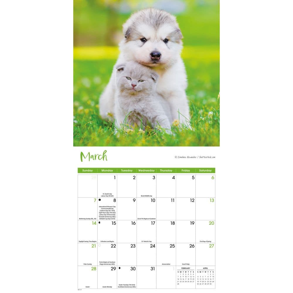 Kittens and Puppies 2027 Mini Wall Calendar Second Alternate Image