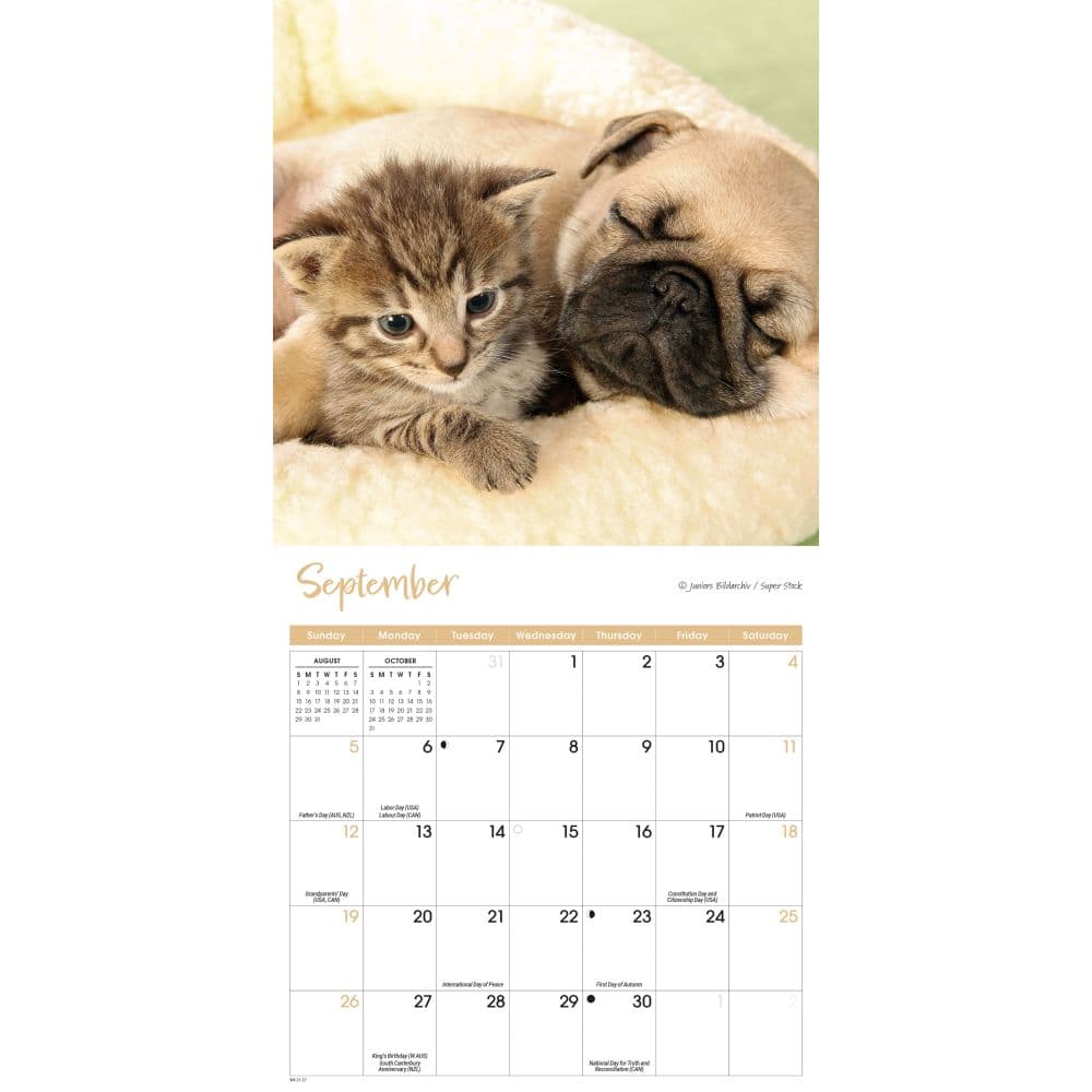 Kittens and Puppies 2027 Mini Wall Calendar Third Alternate Image