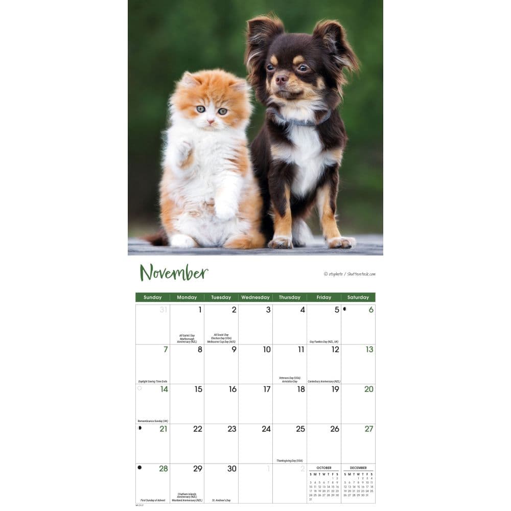 Kittens and Puppies 2027 Mini Wall Calendar Fourth Alternate Image
