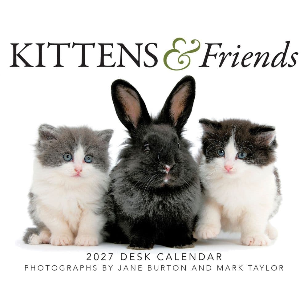 Kittens and Friends 2027 Desk Calendar Main Product Image