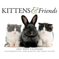 image Kittens and Friends 2027 Desk Calendar Main Product Image