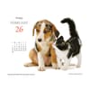 image Kittens and Friends 2027 Desk Calendar Second Alternate Image
