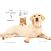 image Kittens and Friends 2027 Desk Calendar Fourth Alternate Image