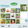 image Kittens Wall 2027 Wall Calendar First Alternate Image