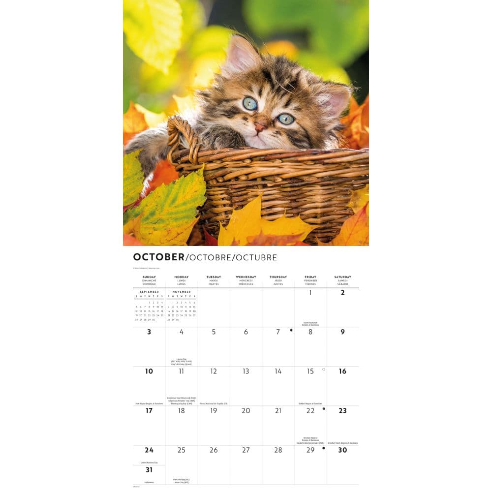 Kittens Wall 2027 Wall Calendar Fourth Alternate Image