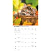 image Kittens Wall 2027 Wall Calendar Fourth Alternate Image