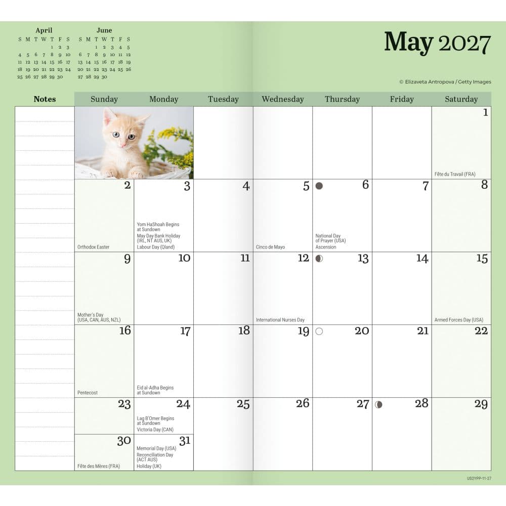 Kittens 2027 2 Year Pocket Planner Second Alternate Image
