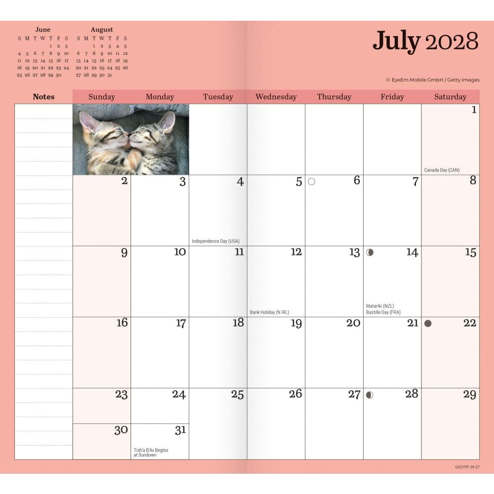 Kittens 2027 2 Year Pocket Planner Fourth Alternate Image