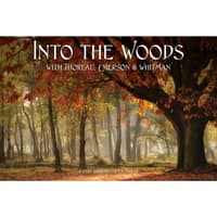 image Into the Woods 2027 Wall Calendar Main Product Image