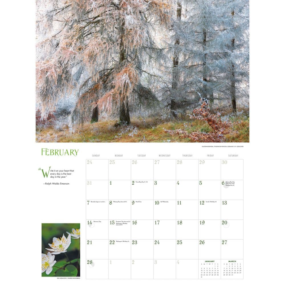Into the Woods 2027 Wall Calendar Second Alternate Image