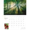 image Into the Woods 2027 Wall Calendar Third Alternate Image