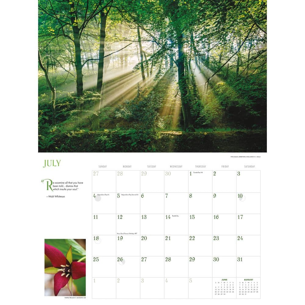 Into the Woods 2027 Wall Calendar Third Alternate Image