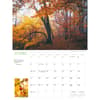 image Into the Woods 2027 Wall Calendar Fourth Alternate Image