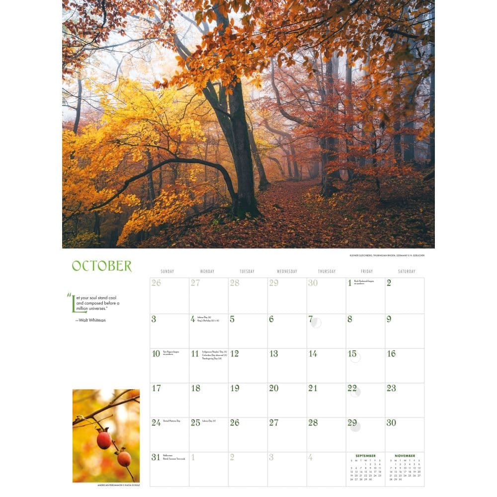 Into the Woods 2027 Wall Calendar Fourth Alternate Image