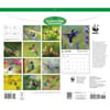 image WWF Hummingbirds 2027 Wall Calendar First Alternate Image